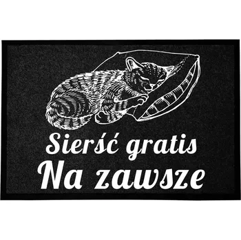 Rohožka Hotová rohožka z plastu, PVC 60 x 40 cm