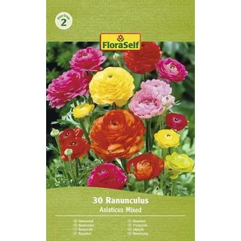 Cibulovina Pryskyřník FloraSelf Ranunculus asijský mix 30 ks