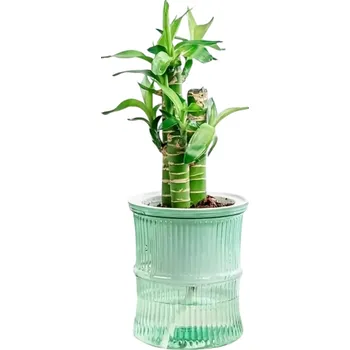 Samozavlažovací dvoudílný květináč 10 x 12 cm Plastový květináč se zásobníkem vody Poloprůhledný květináč pro pokojové rostliny zelená