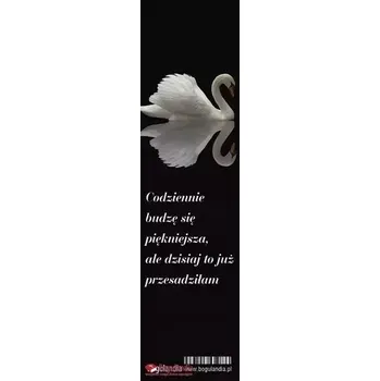 Obraz Záložka do knihy Bogulandia Každý den se probouzím krásnější... černá 5x19 cm