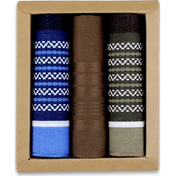 Sada pánského spodního prádla Ega Kapesník CH-496 Pánské A'3 směs barev univerzální