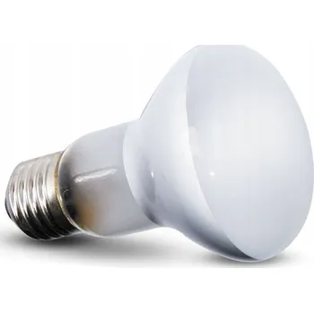 Teraristika Žárovka Repti-Zoo BODOVÁ 150W