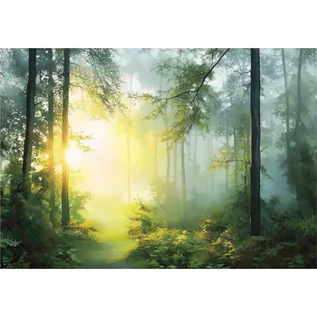 Fototapeta FOTOTAPETA LES 3D STROMY SLUNCE PŘÍRODA NA ZEĎ LOŽNICE OBÝVACÍ POKOJ 200x140