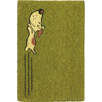 Rohožka Breno Rohožka světle zelený pes, 60x40 cm