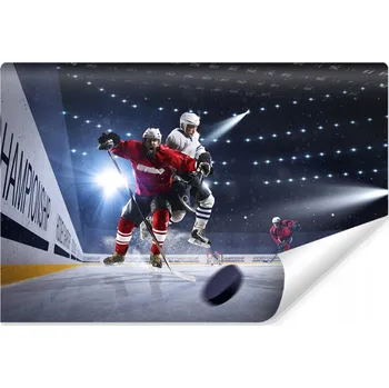 Fototapeta Fototapeta do posilovny HOKEJ Sport Trénink 315x210