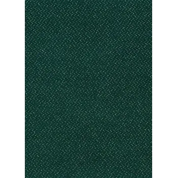 Koberec Breno Metrážový koberec FORTESSE SDE NEW 24, šíře 400 cm, Zelená