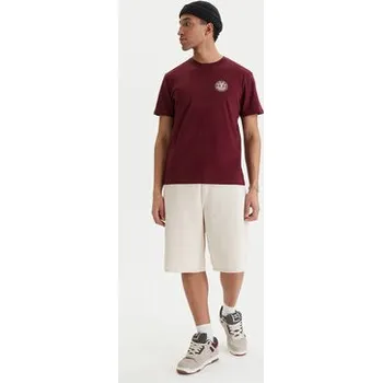 Pánské tričko Element T-Shirt Seal Bp ELYZT00596 Bordó Regular Fit XL