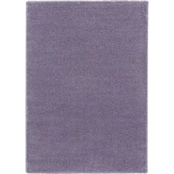 Koberec Breno Kusový koberec DOLCE VITA 01/LLL, 67x110 cm, Fialová