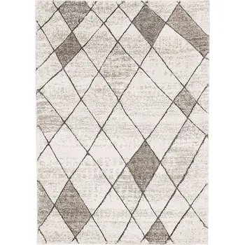 Koberec Breno Kusový koberec CASTRO Carved 4928/NQ2A, 80x120 cm, Vícebarevné