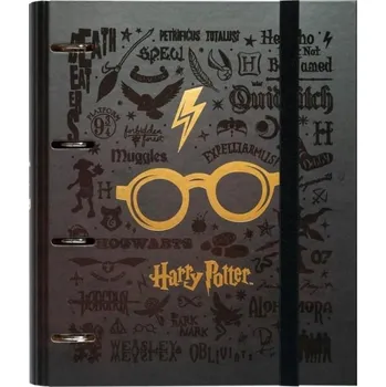 Obraz Šanon A4 Grupoerik Harry Potter