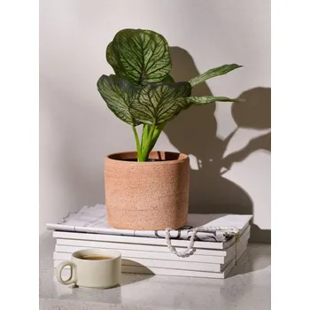 umělá květina Sinsay - Umělá ozdobná rostlina Alocasia v květináči - zelená - 334IN-77X - 334IN-77X-ONE