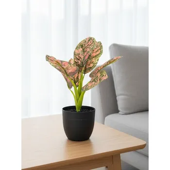 umělá květina Sinsay - Umělá dekorativní rostlina v květináči s barevnými listy - vícebarevná - 042JD-MLC - 042JD-MLC-ONE