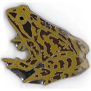 Odznáček - skokan hnědý