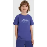 Bavlněné tričko 4F M2404 letní tričko s potiskem modré 152.