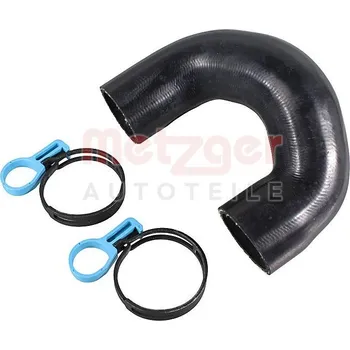 Motor automobilu Hadice chladiče METZGER 2422358