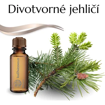 Vůně do bytu Vonnekameny.cz Divotvorné jehličí 10 ml