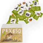 Lesní svět Papírové pexeso Z našeho lesa