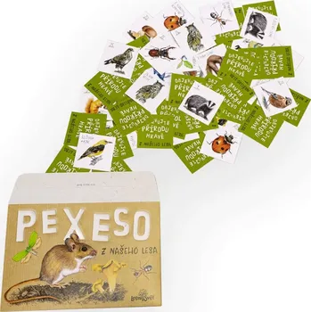 Pexeso Lesní svět Papírové pexeso Z našeho lesa