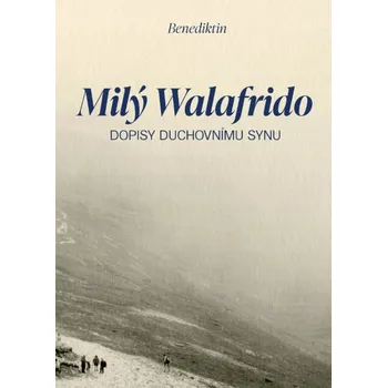 Umění Milý Walafrido: Dopisy duchovnímu synu