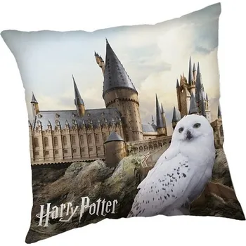 Bytový textil Jerry Fabrics Harry Potter 40 x 40 cm