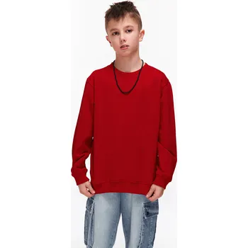 Chlapecká mikina GATE Mikina 13Y 426-0230/554