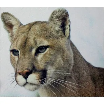 Utěrka utěrka na brýle z mikrovlákna s motivem №175