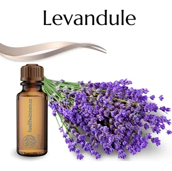 Vůně do bytu Vonný olej Levandule - vonnekameny.cz