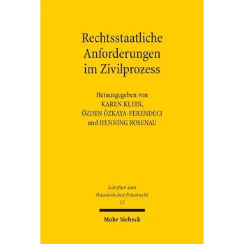 Rechtsstaatliche Anforderungen im Zivilprozess - Rosenau, Henning