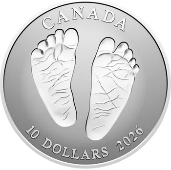 Stříbrná mince Vítej na světě 1 Oz (15,87 g)