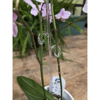 Opora průhledná s háčky