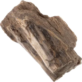 Zkamenělé dřevo 237 g