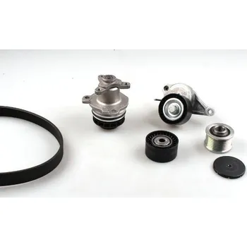 Vodní pumpa motoru Vodní pumpa + klinový żebrový řemen, , 2101000Q1F, 210102433R, 210105857R, 4420987, 8200944976, 93168730, 95518742, HEPU, PK09642