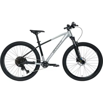 Horské kolo Horské kolo Arcore HAVOC X1 29 L Černá, Šedá