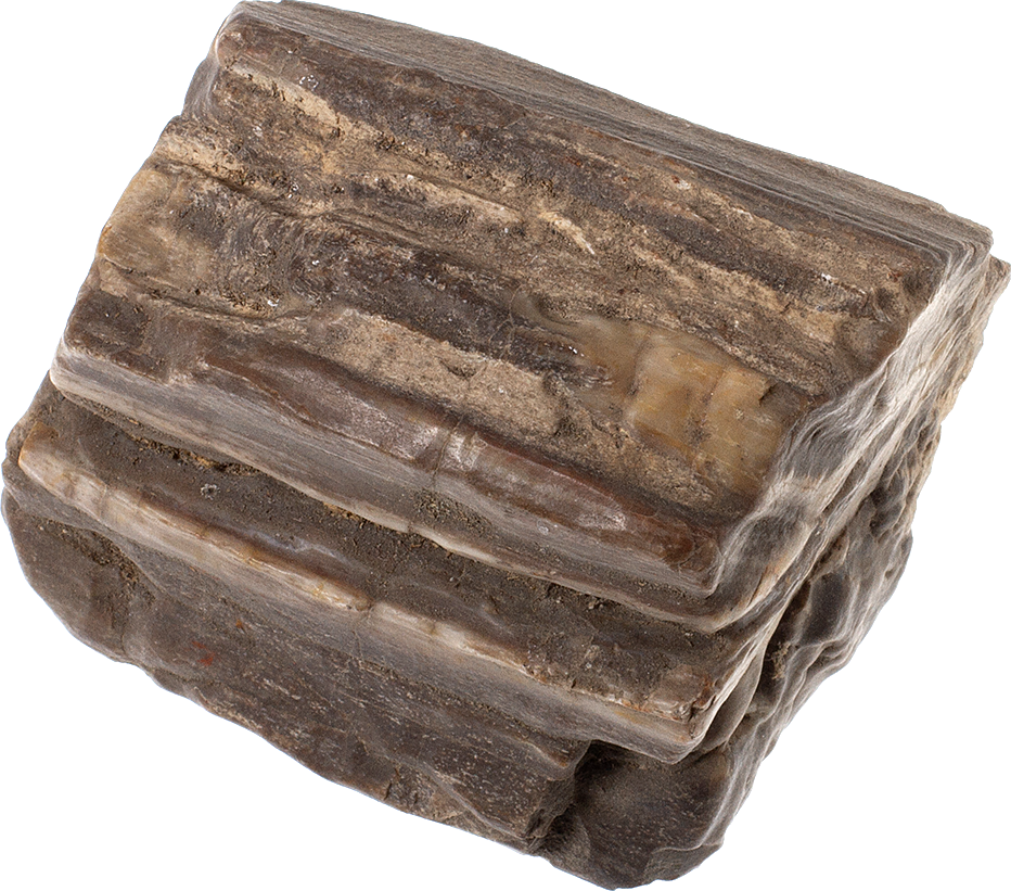Zkamenělé dřevo 345 g