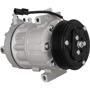 Kompresor klimatizace Kompresor, klimatizace, , KAMOKA, 7820033