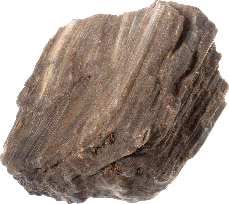 Zkamenělé dřevo 258 g