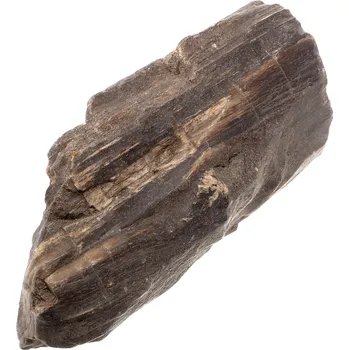 Zkamenělé dřevo 218 g