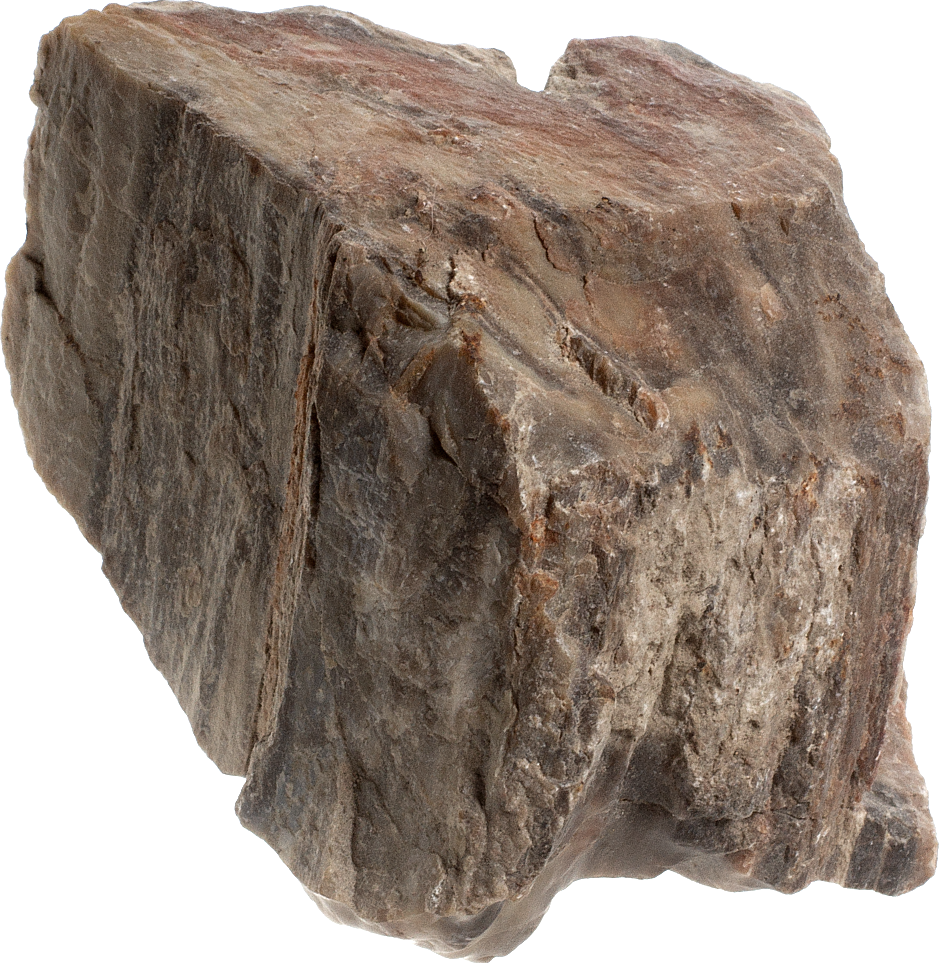 Zkamenělé dřevo 417 g