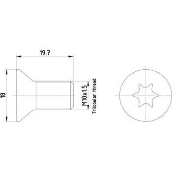 Brzdový kotouč Šroub, brzdový kotouč, , 1430478, 1613207, 30741279, 6610326, JDE29531, LR002080, W503732S309, W711462S442, HELLA, 8DZ 355 209-111