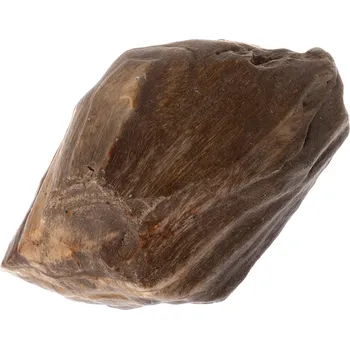 Zkamenělé dřevo QB, 403 g