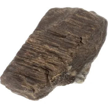 Zkamenělé dřevo 51 g