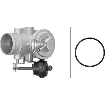 Autoelektrika AGR-Ventil, , HELLA, 6NU 014 865-721