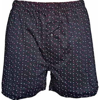 Trenýrky Pánské trenýrky Molvy 100% Bavlna MP-1099 M