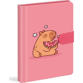 Blok MFP blok s magnetem 13x19cm, linka, 120listů 7510202