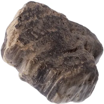 Zkamenělé dřevo 130 g