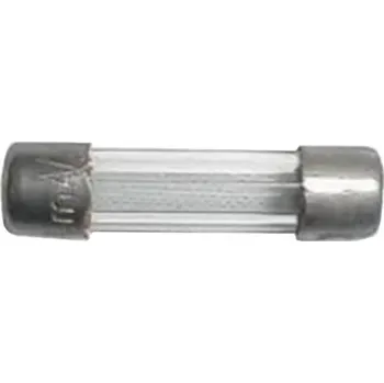 Autopojistky Pojistka T 1.6A