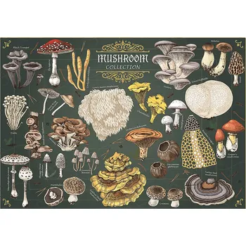 Puzzle TREFL Puzzle Premium Plus Finders Keepers: Houby 500 dílků