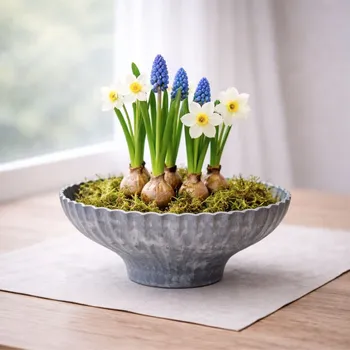 Wikholm Form Mísa k dekorování Yodit šedá M