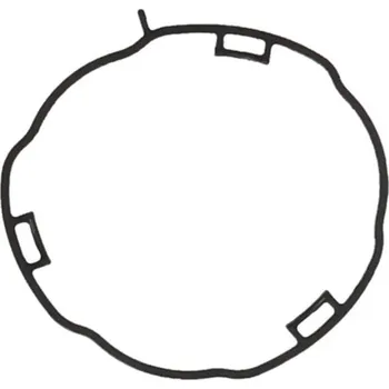 Auto-moto Těsnění, koleno sacího potrubí, , KAMOKA, 8704152