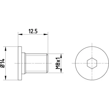 Brzdový kotouč Šroub, brzdový kotouč, , 2204210171, A2204210171, WHT000654, HELLA, 8DZ 355 209-021